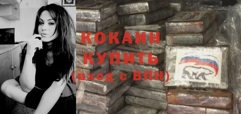 КОКАИН Fish Scale  купить закладку  Байкальск 